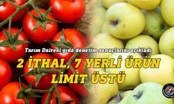 İthal çeri domates ve golden elma limit üstü çıktı