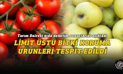 Bazı sebzelerde limit üstü bitki koruma ürünü tespit edildi