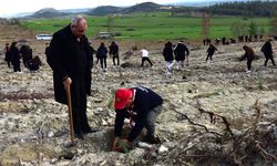 Gençlik Dairesi organizasyonunda 550 fidan ekildi