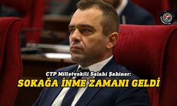 Şahiner narenciye sektörünün varoluş mücadelesi verdiğini söyledi