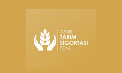 Genel Tarım Sigortası yarın ek itiraz kabul edecek