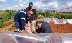 Çavuş: Don zararından etkilenen alanların tespitine başlandı