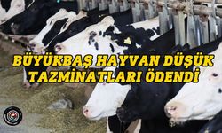 122 üreticiye ödeme yapıldı