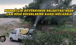 Çam ağaçlarına biyolojik larvasit uygulamaları gerçekleştirildi