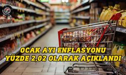 En yüksek artış haberleşme grubunda