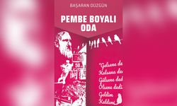 Gazeteci-Yazar Başaran Düzgün’den yeni kitap: Pembe Boyalı Oda…