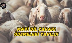 Mavi dil zararı ödemeleri yapıldı