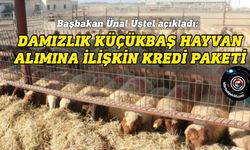 Başbakan Üstel, “Damızlık Küçükbaş Hayvan” kredi paketi açıkladı