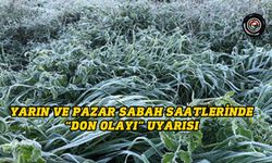 Meteoroloji Dairesi’nden “don olayı” uyarısı