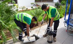 Lefkoşa’da hamam böceği ile etkin mücadele başladı