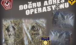 Doğru Adres Operasyonu’nda 850 gram yasaklı madde ele geçirildi