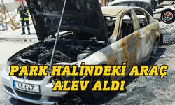 Alayköy’de araç yangını...