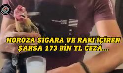 Horoza sigara ve rakı içiren şahsa 173 bin 876 TL idari para cezası...
