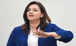 Sağlık sistemini eleştiren Mine Atlı, bakanı istifaya çağırdı