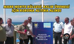 Mare Monte bölgesi, balık üremesi için koruma altına alındı