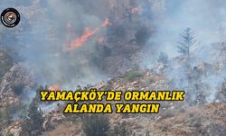 Yangın söndürme çalışmaları sürüyor