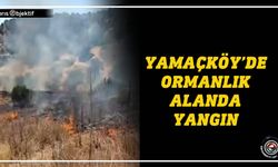Yangın söndürme çalışmaları sürüyor