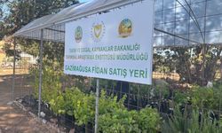 Gazimağusa’da fidanlık satış yeri hizmete girdi