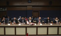 Tipioğlu, Cumhuriyet Meclisi heyetiyle görüştü