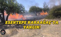 Esentepe Karaağaç’ta yangın!