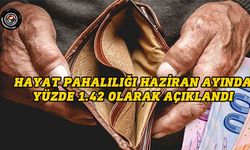 Hayat pahalılığı oranları açıklandı