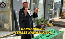 Hayvancılar Birliği, üretimde yaşanan sorunlar nedeniyle açıklama yaptı