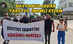 Hayvancılar Birliği: Üretici tabutta, hükümet nerede ?