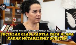 Karakaya: Bilirkişi raporları suçluların sorumluluğunu ortaya koydu
