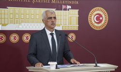 DEM Parti'li Gergerlioğlu: PKK, 11 Temmuz’da silah bırakacak