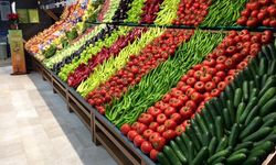 Tarım Dairesi son 5 yılın ürün kirlilik oranlarını açıkladı