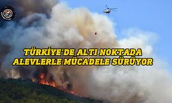 Türkiye’de altı noktada alevlerle mücadele sürüyor