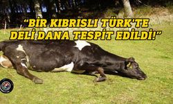 Veterinerler: Koruyucu önlemler ivedilikle ele alınmalı