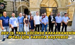 Dev-İş, yasa gücünde kararnamenin iptali için yargıya başvurdu