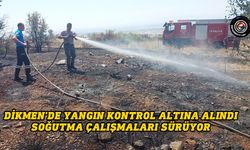 Dikmen dağlık arazide çıkan yangın kontrol altına alındı