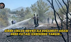 Yangın kontrol altına alındı