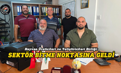 Küçükbaş hayvancılıkta kriz büyüyor: Birlikten hükümete acil çağrı