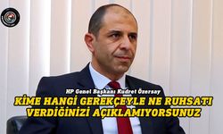 Özersay’dan silah ruhsatları konusunda hükümete tepki: Şeffaflık yok