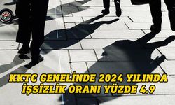 KKTC genelinde istihdam oranı yüzde 50.5