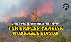 Girne'de Ciklos mevkiinde çıkan yangına müdahale ediliyor...