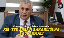 Amcaoğlu: KIB-TEK Enerji Bakanlığı’na bağlanmalı