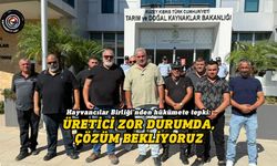 Onalt: Ambarlarda arpa, saman ve balya yok, gerekirse kaba yemi Güney’den getireceğiz