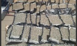 Larnaka Havalimanı’nda 24 kilo hintkeneviri türü uyuşturucu