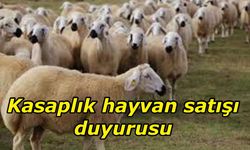 Devlet Üretme Çiftliği kasaplık hayvan satışı duyurusu yaptı