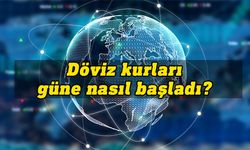 Günlük döviz kurları (11 Nisan 2023)