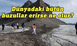 Dünyadaki bütün buzullar erirse ne olur?