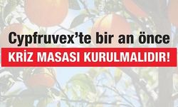 CTP: Cypfruvex’te bir an önce kriz masası kurulmalıdır!