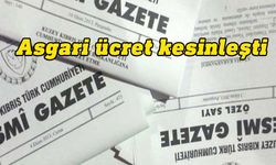 Asgari ücret kesinleşerek, Resmi Gazetede yayımlandı