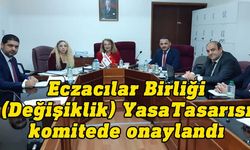 Eczacılar Birliği (Değişiklik) Yasa Tasarısı Genel Kurul’a sevk edildi