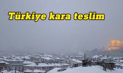 Kar yağışı Türkiye'de bir çok kenti beyaza bürüdü