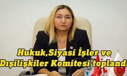 Komite,Hafız Hüseyin Şiraz (Hacer) Vakfı’na İlişkin Karar Tasarısı'nı, Genel Kurul’a sevk etti